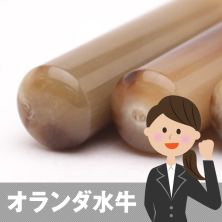 オランダ水牛の実印